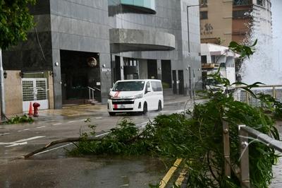 HONG KONG, CHINA - JULY 20: Tree branches are blown down at Kennedy Town as Typhoon Wipha approaches on July 20, 2025 in-stock-foto