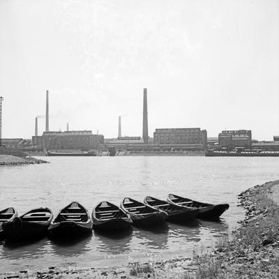 Ludwigshafen Sieben Ruderboote am Rheinufer in Ludwigshafen, gegenüber den BASF Werken, Deutschland 1930er Jahre. Seven-stock-foto