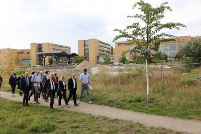Verena Hubertz ?bergibt F?rderscheck in Potsdam-stock-foto