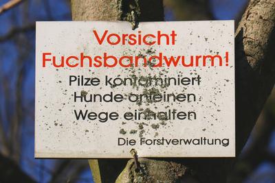 Fuchsbandwurm: Warnschild fuer Besucher im Wald, Deutschland warning sign against the fox tapeworm in a forest, Germany-stock-foto