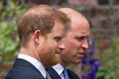 . 01/07/2021. London, United Kingdom. Prince William and Prince Harry at the unveiling of the new Princess Diana statue-stock-foto