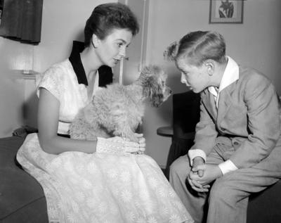 Bildnummer: 55876629  Datum: 01.01.1952  Copyright: imago/United ArchivesHollywood: British screen Actress Jean Simmons holds her toy French poodle to be admired by young Jimmy Hunt who is playing with Jean in a new film being made here. The Poodle s name is Young Queen Bess . 28 May 1952 Mono Negative !AUFNAHMEDATUM GESCH?TZT! kbdig 1952 quer Actress Jean Simmons film star Bildnummer 55876629 Date 01 01 1952 Copyright Imago United Archives Hollywood British Screen actress Jean Simmons holds her Toy French Poodle to Be Admired by Young Jimmy Hunt Who IS Playing With Jean in a New Film Being Made Here The Poodle S Name IS Young Queen Bess 28 May 1952 Mono Negative date estimated Kbdig 1952 horizontal actress Jean Simmons Film Star-stock-foto