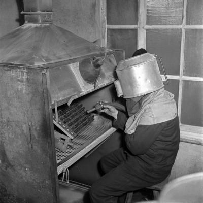 Bildnummer: 53012291  Datum: 14.01.1954  Copyright: imago/Kai BienertMitarbeiter einer PGH in Stollberg w?hrend der Herstellung von Z?ndkerzen, Personen; 1954, Stollberg, DDR, Deutsche Demokratische Republik, sw, Zeitgeist, VEB, Volkseigener Betrieb, Herstellung, Produktion, Z?ndkerze, PGH, Produktionsgenossenschaft des Handwerks; , Quadrat, Kbneg, Einzelbild, , Industrie, Wirtschaft, Arbeitswelten, Gesellschaft,  , Wirtschaft, Europa; Aufnahmedatum gesch?tztBildnummer 53012291 Date 14 01 1954 Copyright Imago Kai Bienert Employees a PGH in Stollberg during the Production from Spark plugs People 1954 Stollberg GDR German Democratic Republic black and white Zeitgeist VEB Peopleu0026#39;s Own Operation Production Production Spark plug PGH Production cooperative the Crafts Square Kbneg Single Industry Economy world of work Society Economy Europe date estimated-stock-foto