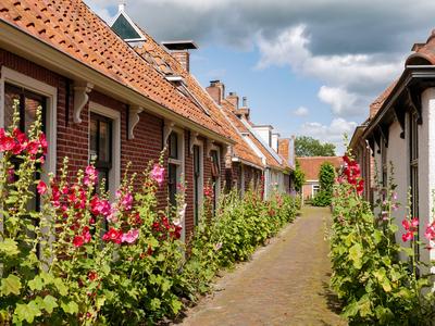 Die kleine Stra?e mit Stockrosen in Garnwerd, Westerkwartier, Groningen, ist die schmalste mit dem Auto befahrbare Stra?e der Niederlande-stock-foto