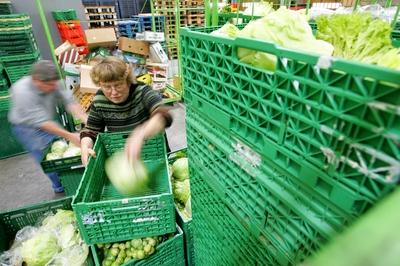 Freiwillige sortieren vom Handel ausgemustertes Gem?se f?r den Dresdner Tafel e.V. in Dresden-stock-foto