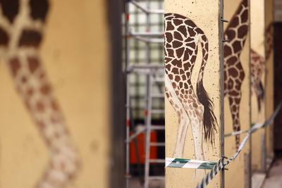 Giraffenanlage-stock-foto