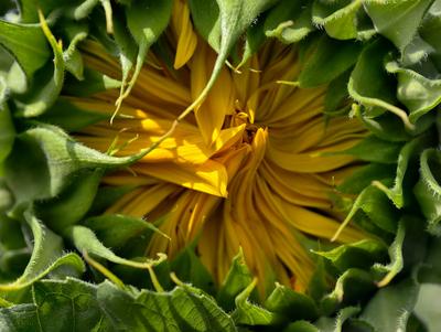 Nature-2024_132.jpg-stock-foto