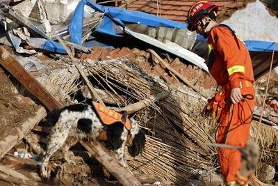 JINAN, CHINA - JULY 22: A rescuer and a sniffer dog search for missing people after torrential rain triggers flash flood-stock-foto