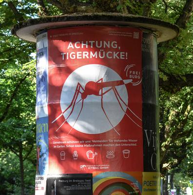 Tigermuecke, Verbreitung, Warnung,-stock-foto