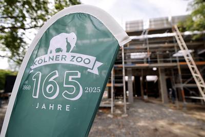 Baustelle der Giraffenanlage im K?lner Zoo-stock-foto