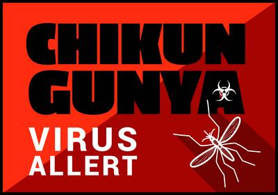 Chikungunya virus allert vector outline Chikungunya virus allert flat vector outline illustration. Copyright: xZoonar.co-stock-foto