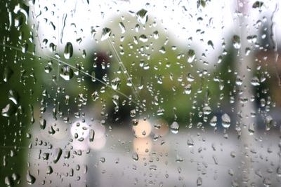 News Bilder des Tages Regen auf Glas Wassertropfen sammeln sich an einer Glasscheibe *** Rain on glass Water droplets co-stock-photo