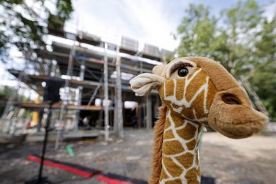 Giraffenanlage-stock-foto