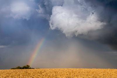 Naturschauspiel im Erzgebirge. Die aktuelle Wetterlage ist sehr durchwachsen. Nach den Unwettern gestern zogen am Dienst-stock-foto