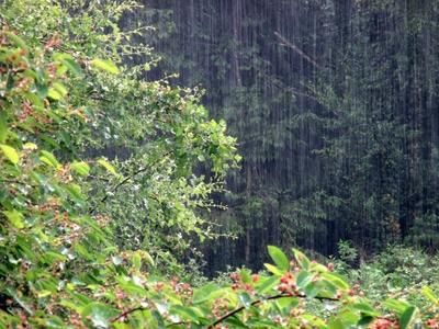 Sommerregen in der Landschaft Kr?ftiger Sommerregen mit Gewitterrisiko nach einem Tag mit ?ber 30 Grad.-stock-foto