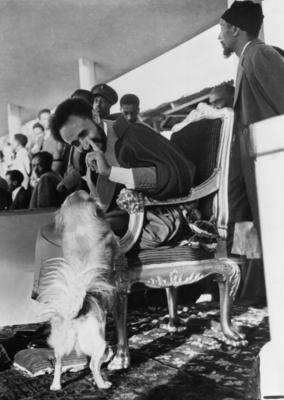 Bildnummer: 55851896  Datum: 01.01.2011  Copyright: imago/United ArchivesHaile Selassie - Emperor of Ethiopia - playing with his pet dog . Mono Negative kbdig 2011 hoch 20th century twentieth century 20c 1940s , 40s nineteen forties throne Bildnummer 55851896 Date 01 01 2011 Copyright Imago United Archives Haile Selassie Emperor of Ethiopia Playing With His Pet Dog Mono Negative Kbdig 2011 vertical 20th Century Twentieth Century  1940s 40s  Forties Throne-stock-foto