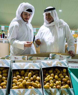 QATAR LOCAL DATES FESTIVAL 2025-stock-photo