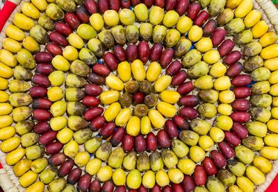 QATAR LOCAL DATES FESTIVAL 2025-stock-photo