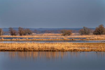 Tourismus Wetter Reisen 24.02.2021 Criewen Brandenburg Nationalpark Unteres Odertal Fluss Oder Vogelzug Schnee Schneesch-stock-foto