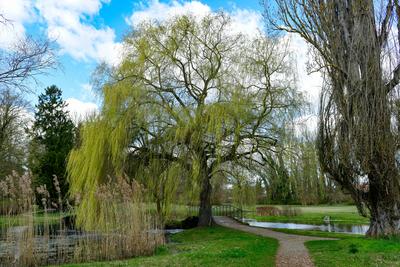 Nationalpark Unteres Odertal ?-stock-foto