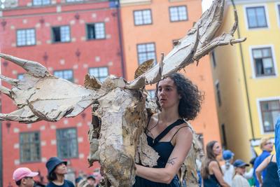 stockholm, sweden, 26 july 2025, performance of the group the herd in front of the nobel prize museum in the old town ga-stock-foto