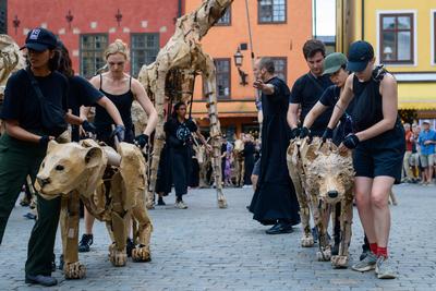 stockholm, sweden, 26 july 2025, performance of the group the herd in front of the nobel prize museum in the old town ga-stock-foto