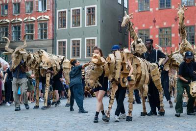 stockholm, sweden, 26 july 2025, performance of the group the herd in front of the nobel prize museum in the old town ga-stock-foto