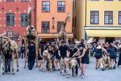 stockholm, sweden, 26 july 2025, performance of the group the herd in front of the nobel prize museum in the old town ga-stock-foto