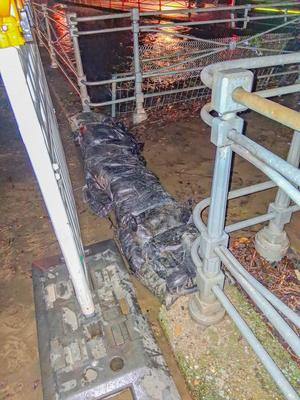 Hochwasser sorgt f?r ?berschwemmungen im Ortenaukreis: Massiver Starkregen l?sst Dorfbach in Appenweier ?ber die Ufer treten - Wassermassen fluten Wohnh?user und Lagerhallen - Wasser steht einen Meter hoch in den H?usern - Feuerwehr und Technisches-stock-foto