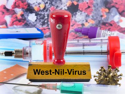 West-Nil-Virus als Symbolbild-stock-foto