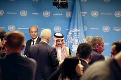 Press briefing for the peaceful settlement of the question of palestine and on implementation of a two-state solution .-stock-foto