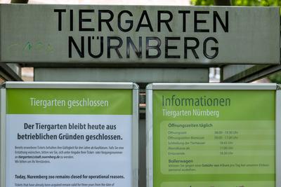 Tiergarten N?rnberg bleibt geschlossen ? Demonstration wegen m?glicher Pavian-T?tung, N?rnberg, 29.07.2025-stock-foto