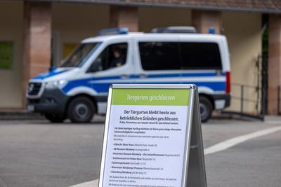 Tiergarten N?rnberg bleibt geschlossen ? Demonstration wegen m?glicher Pavian-T?tung, N?rnberg, 29.07.2025-stock-foto