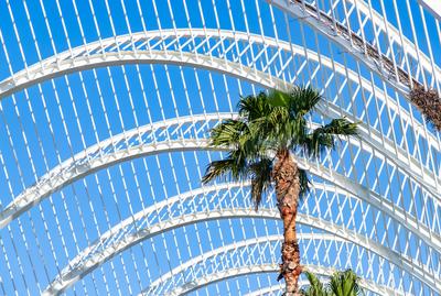 Stadt der K?nste und Wissenschaften - L'Umbracle-stock-foto