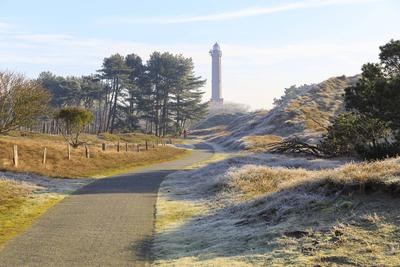 Weg durch die D?nenlandschaft mit Raureif und Nebel, Ausblick zum Leuchtturm von Norderney, Niedersachsen, Deutschland *-stock-foto