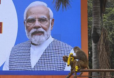 AYODHYA, INDIA - DECEMBER 30: A monkey with the garland sitting near Hanuman Garhi during the road show of Prime ministe-stock-foto