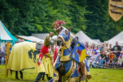 Deutschland, Dornum, Niedersachsen, Europa: Ritterfest am Wasserschloss, spannendes Ritterturnier, Ritter in R?stung auf-stock-foto