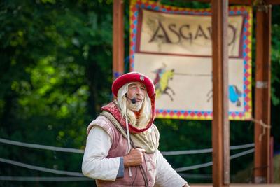 Deutschland, Dornum, Niedersachsen, Europa: Ritterfest am Wasserschloss, spannendes Ritterturnier, Ritter in R?stung auf-stock-foto