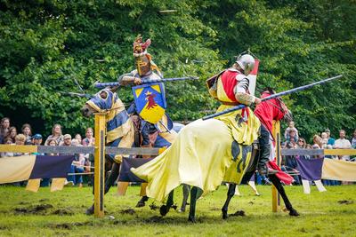 Deutschland, Dornum, Niedersachsen, Europa: Ritterfest am Wasserschloss, spannendes Ritterturnier, Ritter in R?stung auf-stock-foto