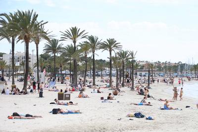 ESP, Mallorca-Features, Mai 2025, 08.05.2025-stock-foto