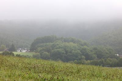 Sommer im Siegerland-stock-foto