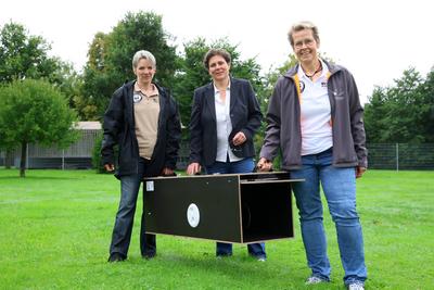 Kassel startet Pilotprojekt zur Eindaemmung der Waschbaeren-stock-foto