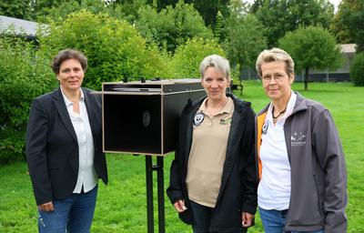 Kassel startet Pilotprojekt zur Eindaemmung der Waschbaeren-stock-foto