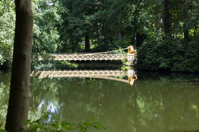 L?wenbr?ck im Tiergarten neu errichtet-stock-foto