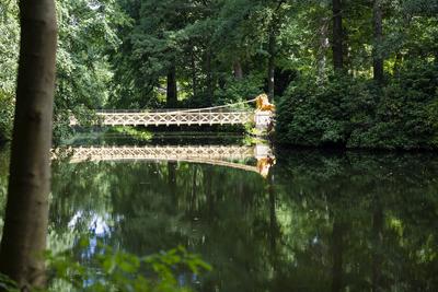 L?wenbr?ck im Tiergarten neu errichtet-stock-foto