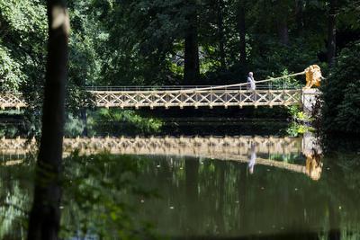 L?wenbr?ck im Tiergarten neu errichtet-stock-foto