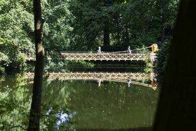 L?wenbr?ck im Tiergarten neu errichtet-stock-foto