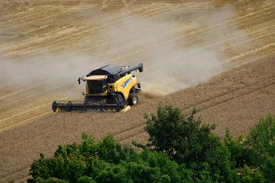 Erfurt, 07.08.2025 Getreiteernte auf einem Feld zwischen Erfurt Dittelstedt und dem Erfurter Herrenberg *** Erfurt, 07 0-stock-foto