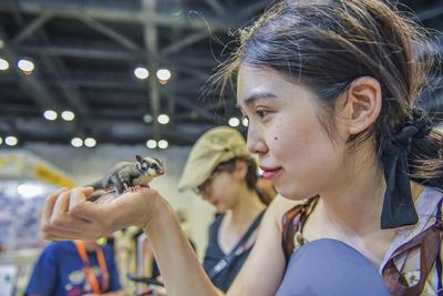 Nanning Pet Expo-stock-foto