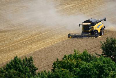 Erfurt, 07.08.2025 Getreiteernte auf einem Feld zwischen Erfurt Dittelstedt und dem Erfurter Herrenberg *** Erfurt, 07 0-stock-foto